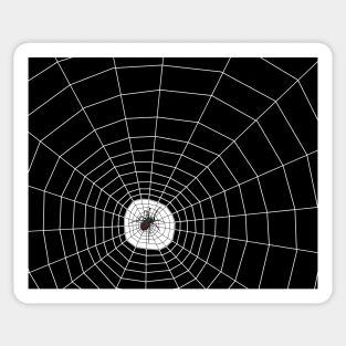 Black Widow Spider Web Sticker